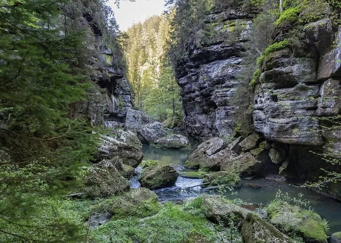 Dom wakacyjny Emma Comfortable